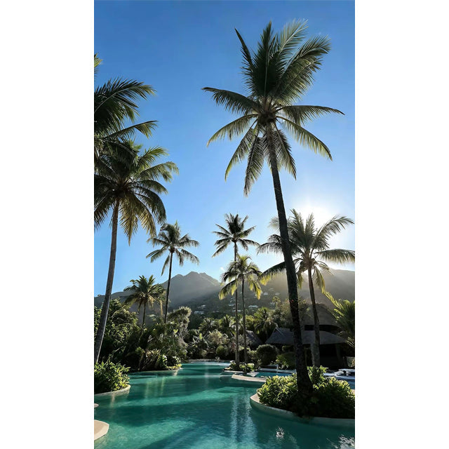 Newsletter: Vacation Packing