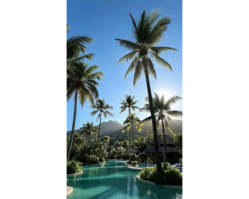 Newsletter: Vacation Packing
