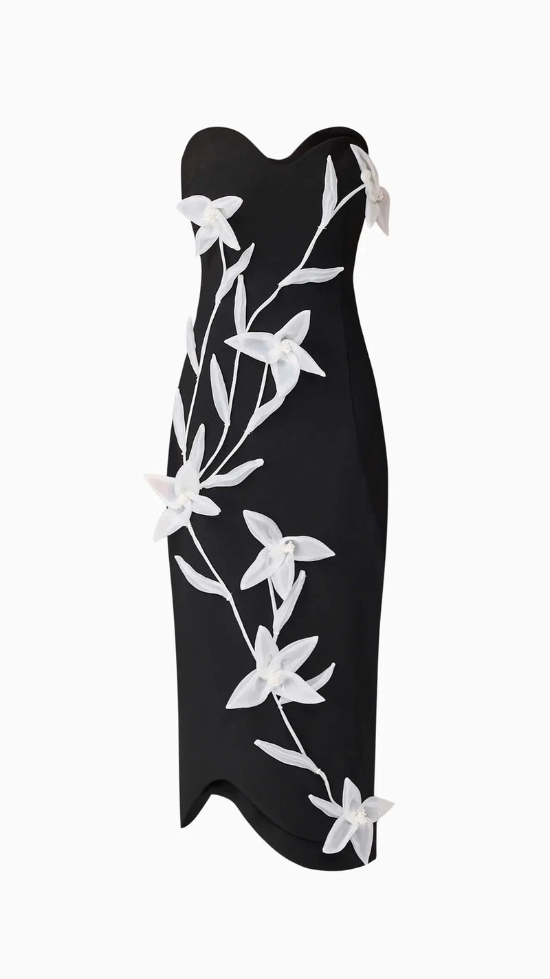 Elliatt Ilaraia Strapless Midi Dress in White/Black