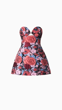 Elliatt Delphine Tulip Mini Dress in Multi