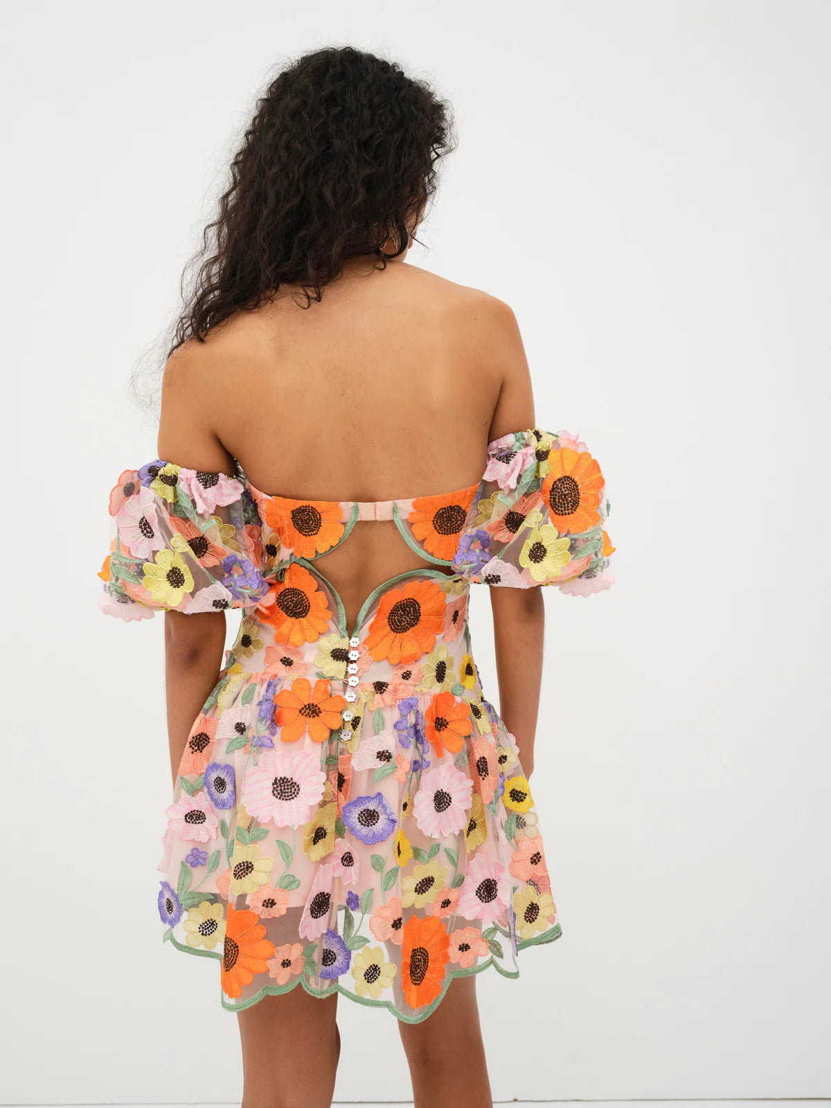 For Love & Lemons Prato Embroidered Mini Dress in Multi