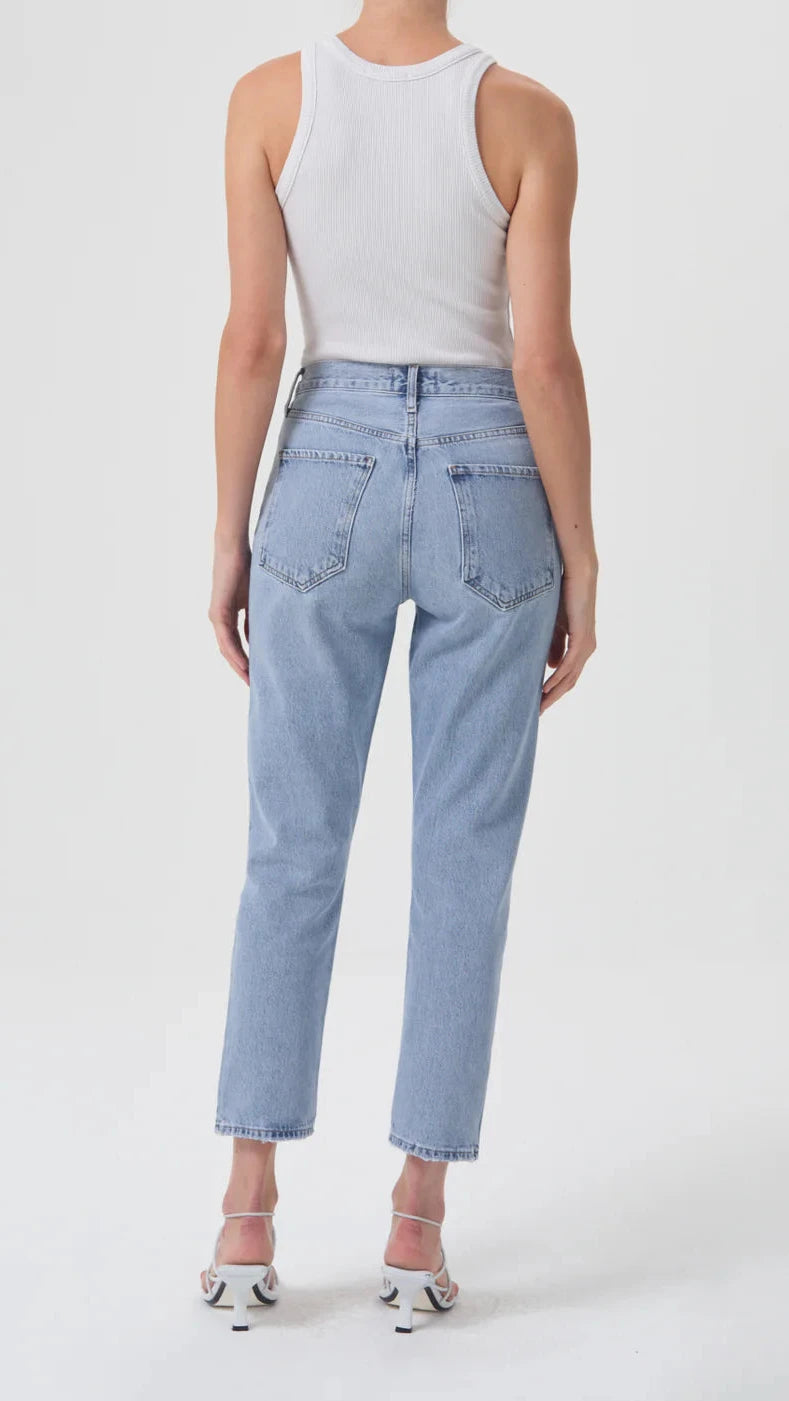 AGOLDE Denim Riley High Rise Straight Crop in Dimension