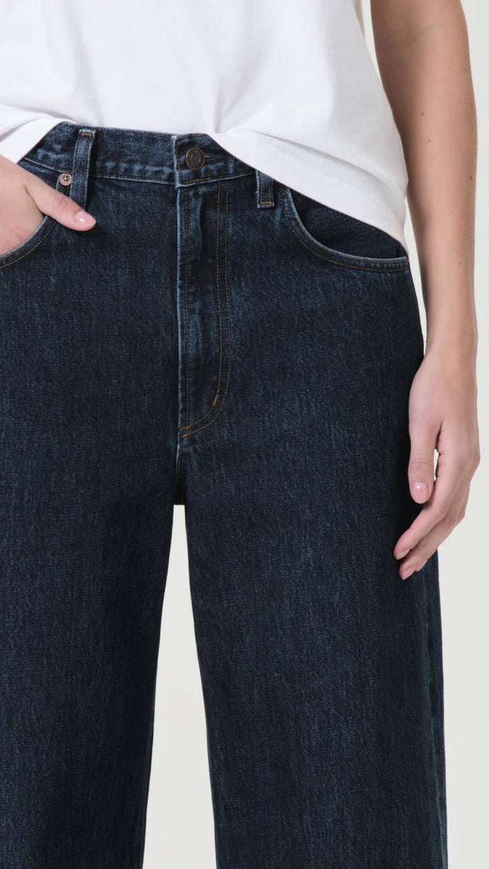 AGOLDE Denim Low Curve Jean in Pendulum