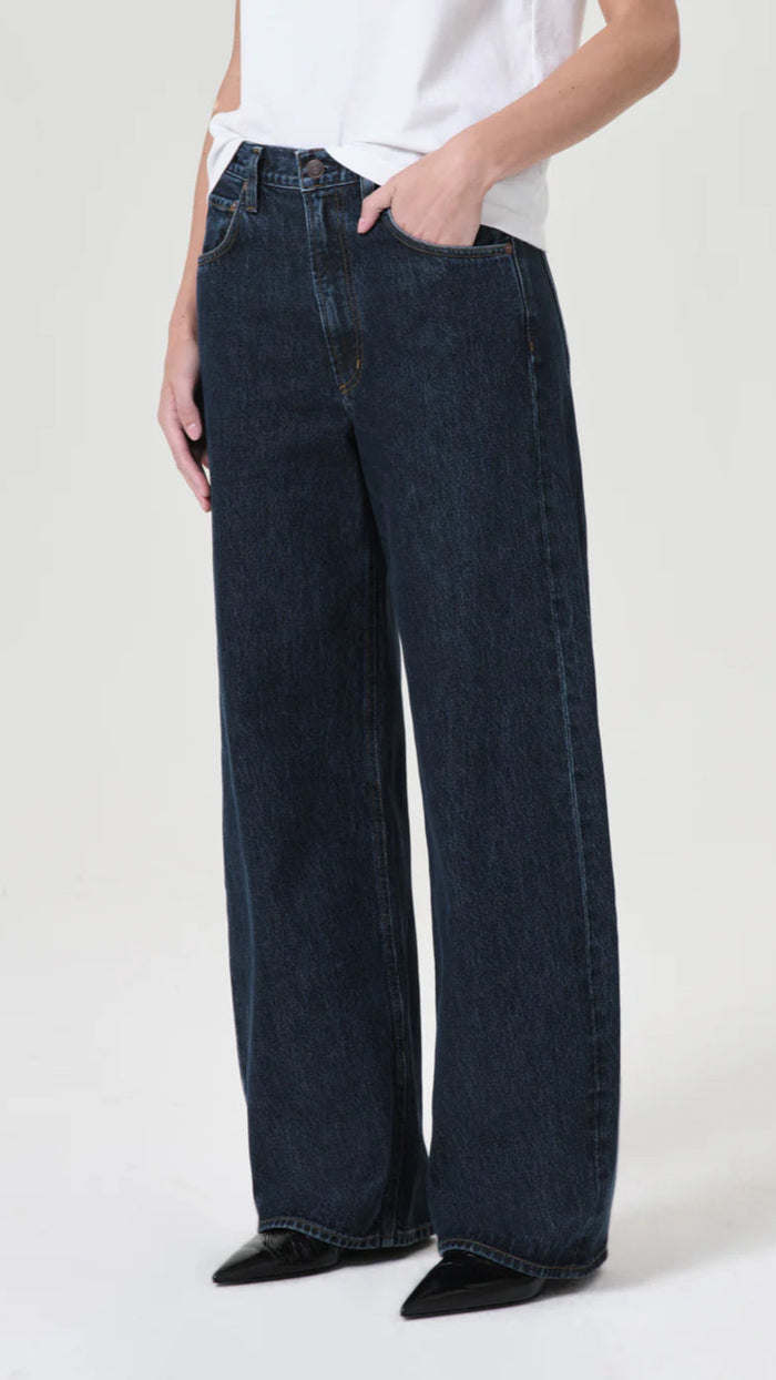 AGOLDE Denim Low Curve Jean in Pendulum