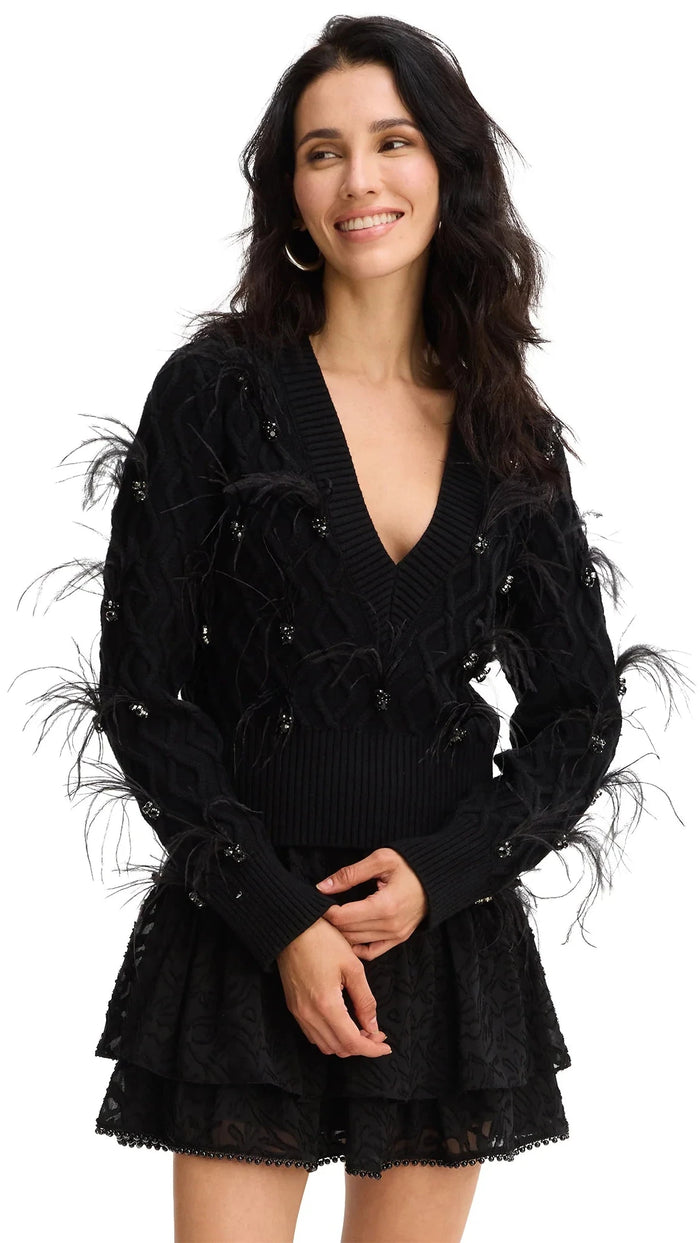 Allison New York Briar Crystal Feather Sweater in Black