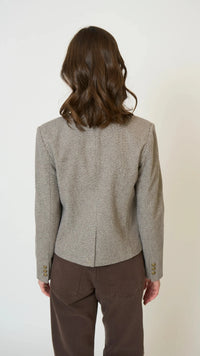 Central Park West Halsey Mandarin Collar Jacket in Brown