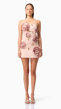 Elliatt Camile Mini Dress in Champagne
