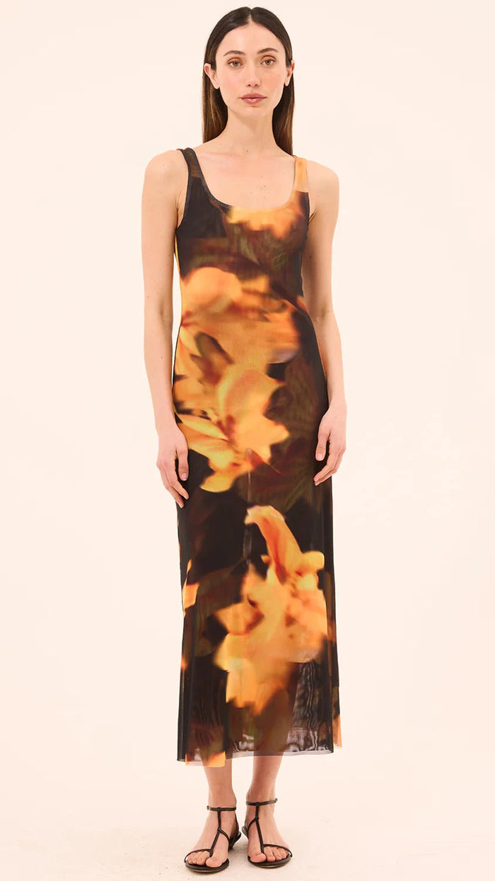 Misa Khloe Mesh Midi Dress in Yellow Flora Print