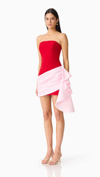 Elliatt June Strapless Mini Dress in Red & Pink