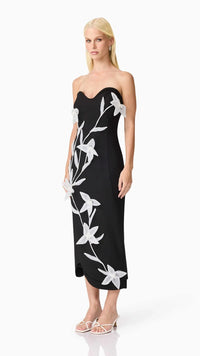 Elliatt Ilaraia Strapless Midi Dress in White/Black