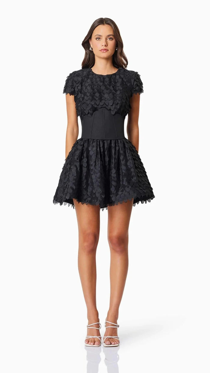Elliatt Amberwing Dress in Black