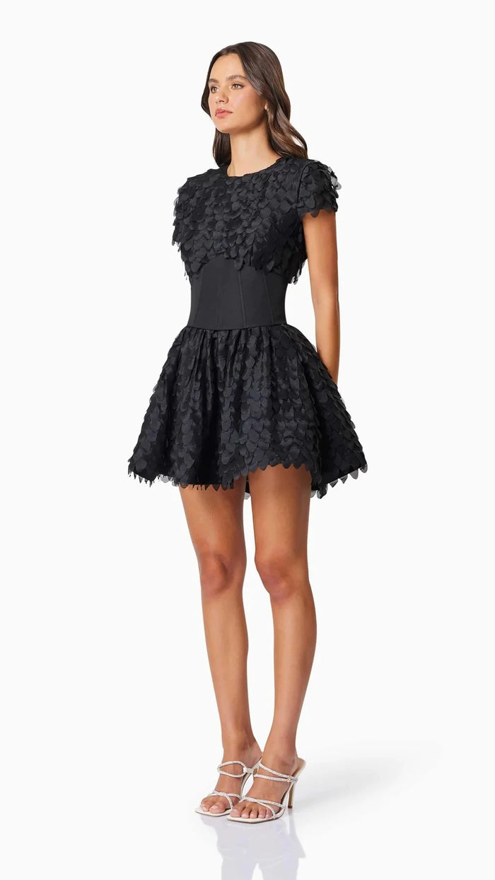 Elliatt Amberwing Dress in Black