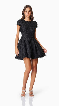 Elliatt Amberwing Dress in Black