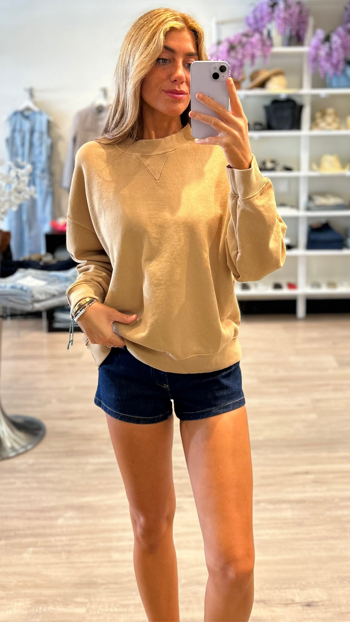 Perfect White Tee Blake Crew Neck Sweatshirt in Suede