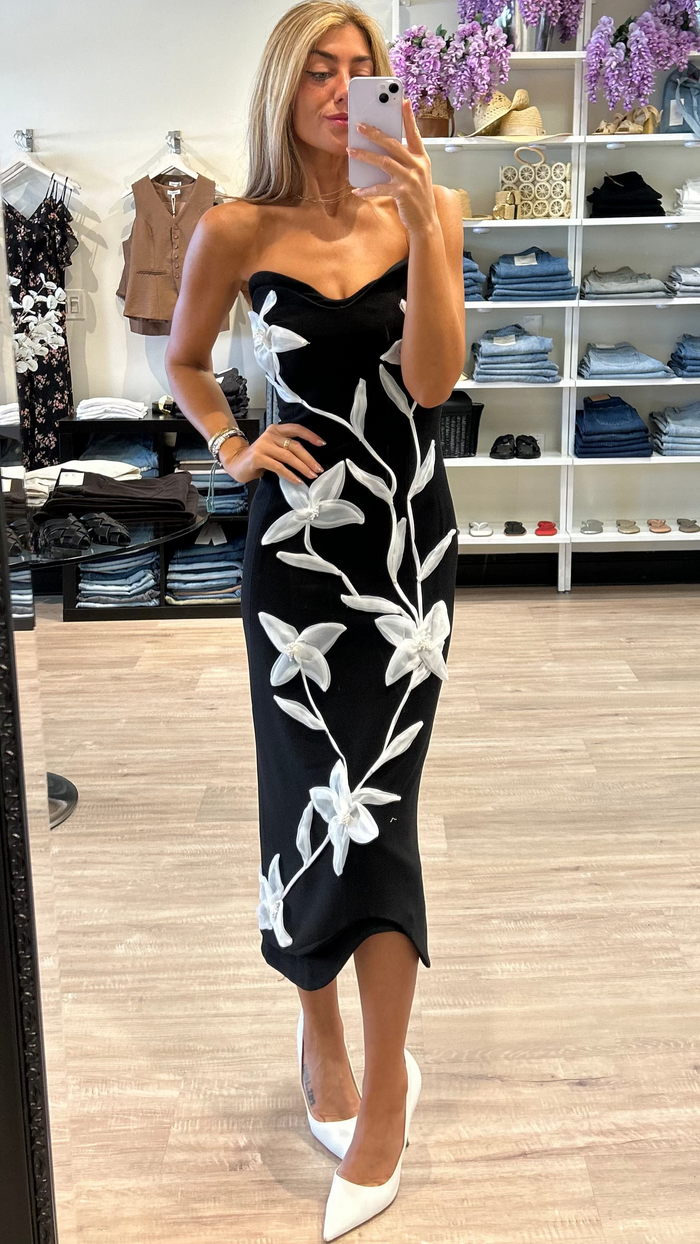 Elliatt Ilaraia Strapless Midi Dress in White/Black