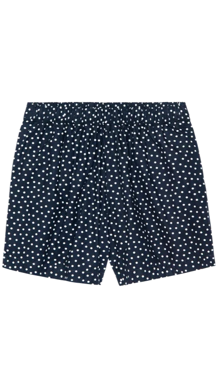 Nation LTD Flynn Short in Cabana Polka Dot