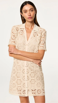 Misa Carmel Crochet Shift Dress in Summer Crochet