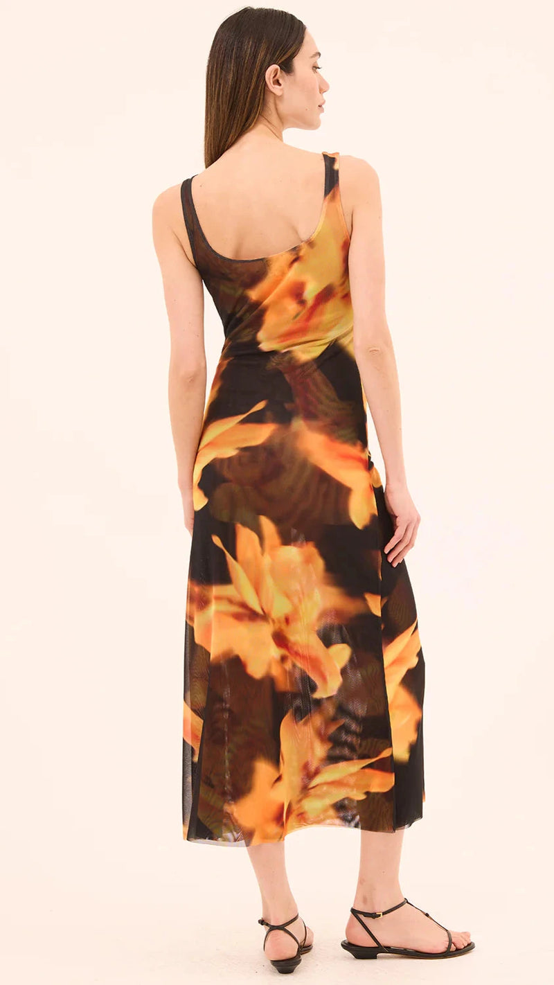 Misa Khloe Mesh Midi Dress in Yellow Flora Print