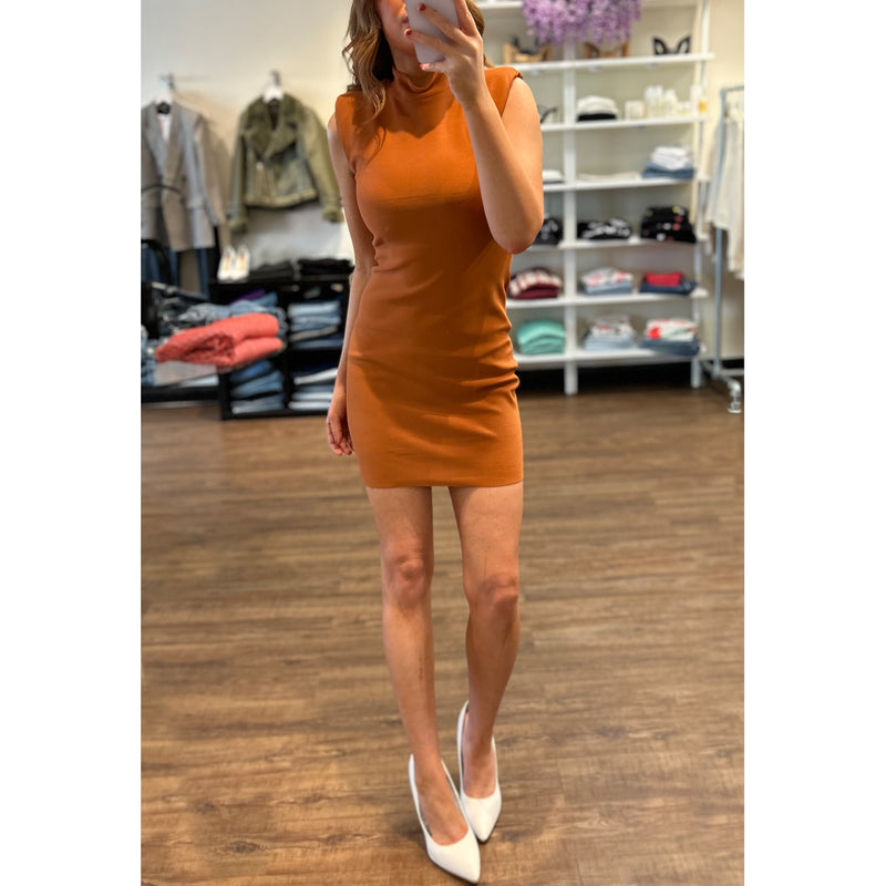 Amanda Uprichard Temp Mini Dress in Adobe