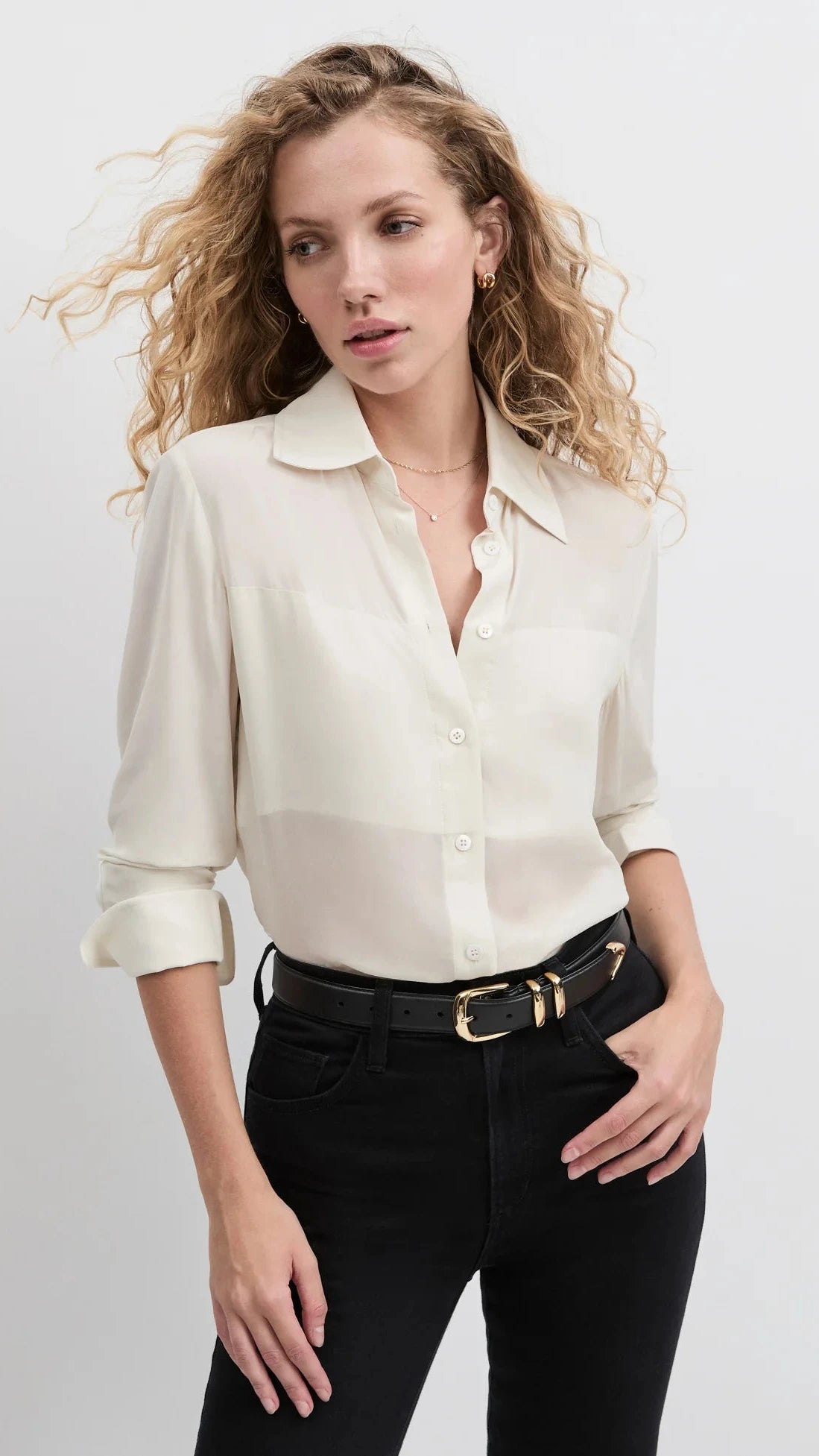 Favorite Daughter Sheer Sophistication Top in Ivory