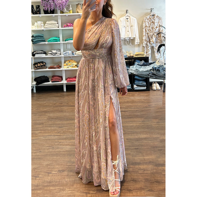 Line and Dot Gianni One Shoulder Maxi in Pink Paisley Multi