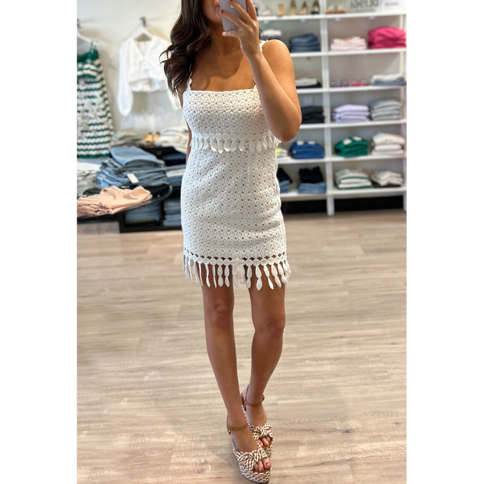 Saylor Caitriona Embroidered Mini Dress in White