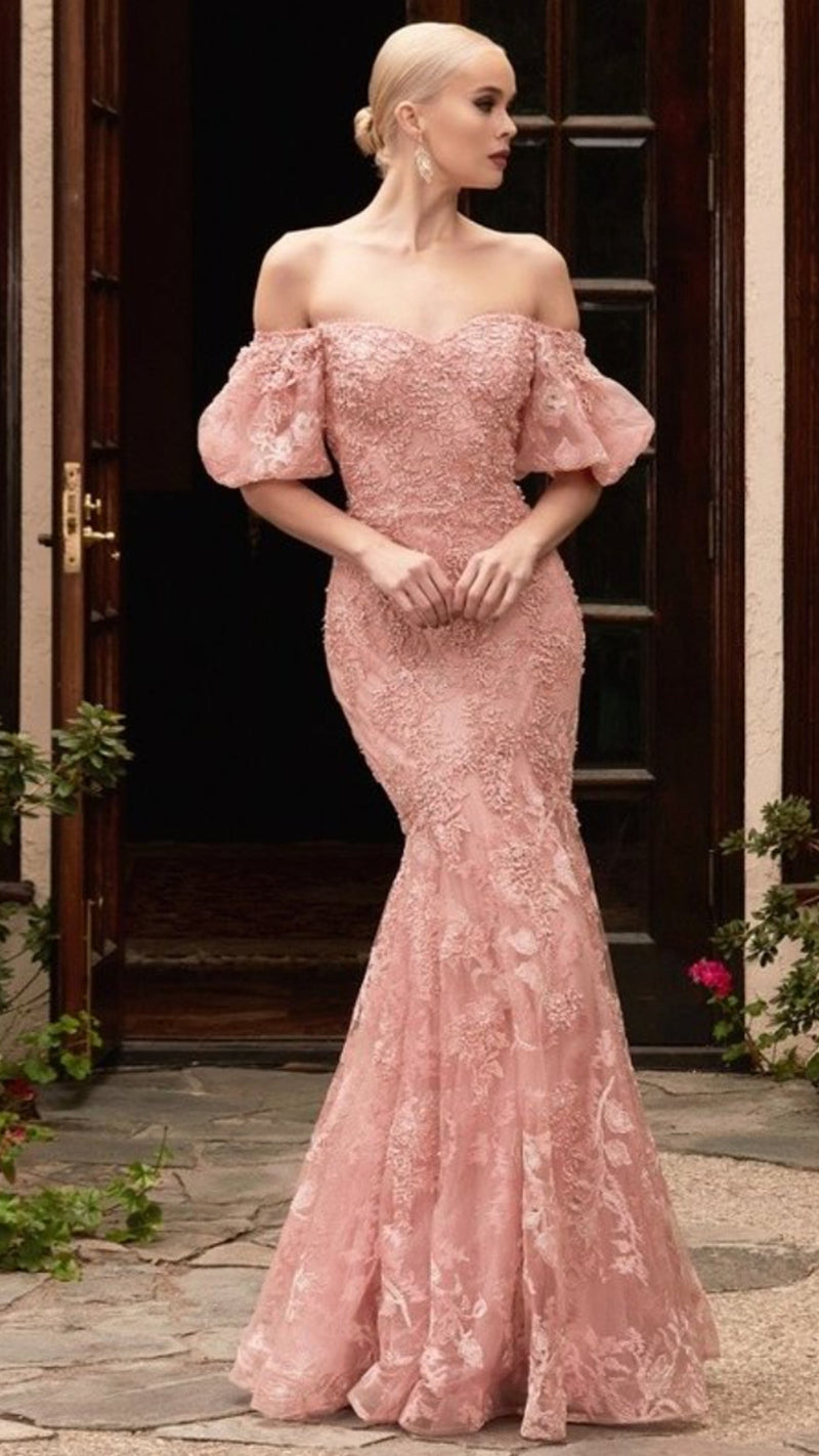 CD Fitted Off The Shoulder Mermaid Lace Gown in Dusty Rose